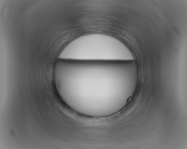 X0000113980036200910020958