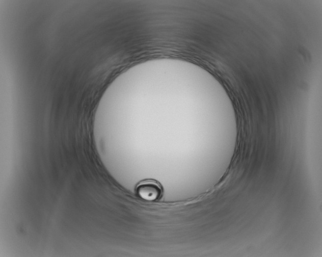 X0000113980037200910020958
