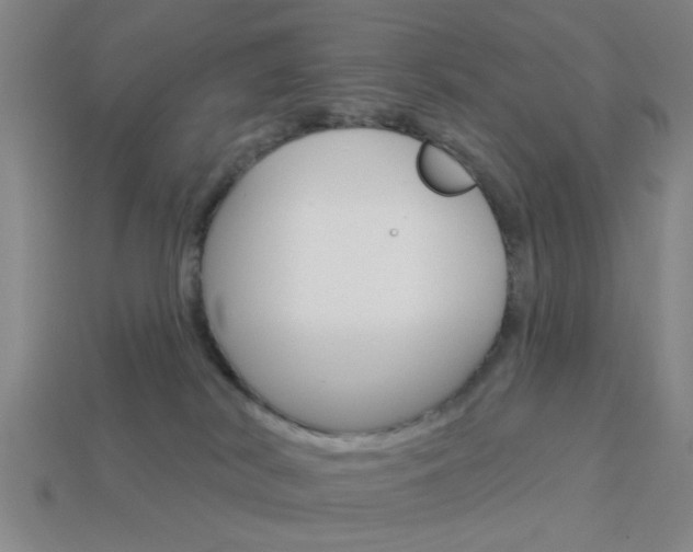 X0000113980038200910020958