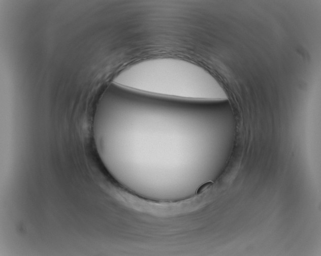X0000113980039200910020958
