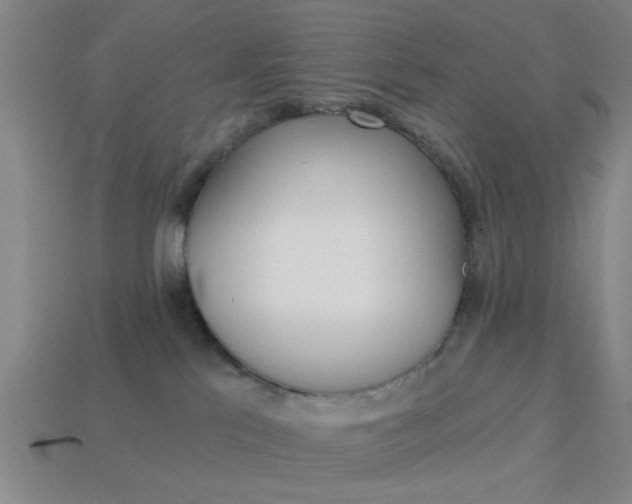 X0000113980041200910020958