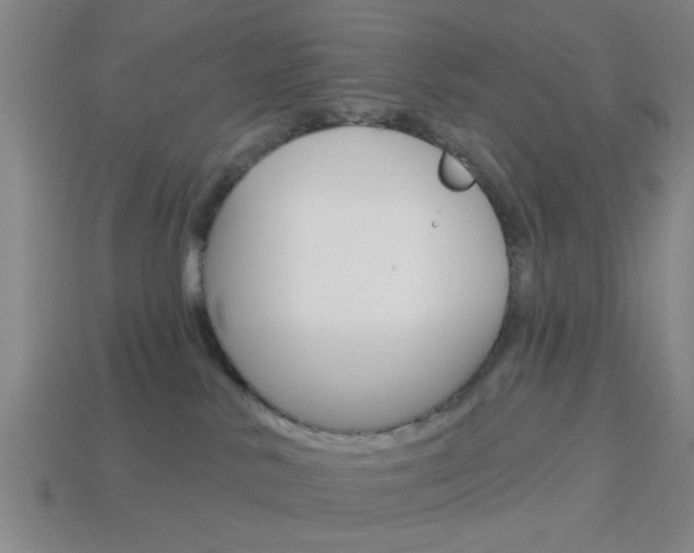 X0000113980042200910020958
