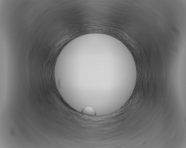X0000113980043200910020958
