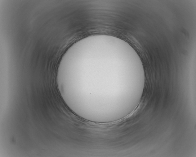 X0000113980045200910020958