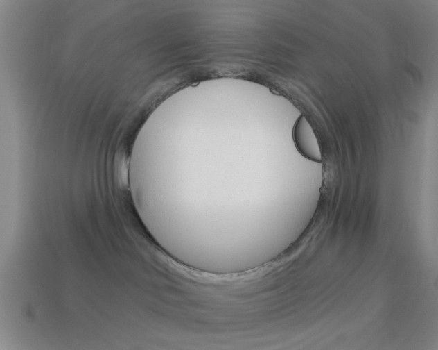 X0000113980046200910020958