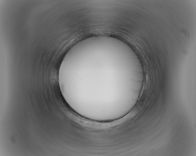 X0000113980048200910020958