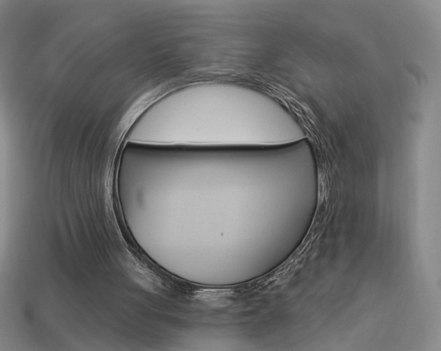 X0000113980051200910020957