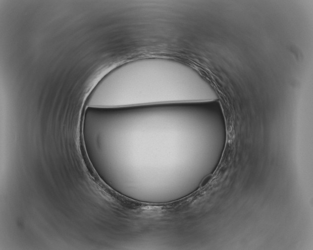 X0000113980052200910020957