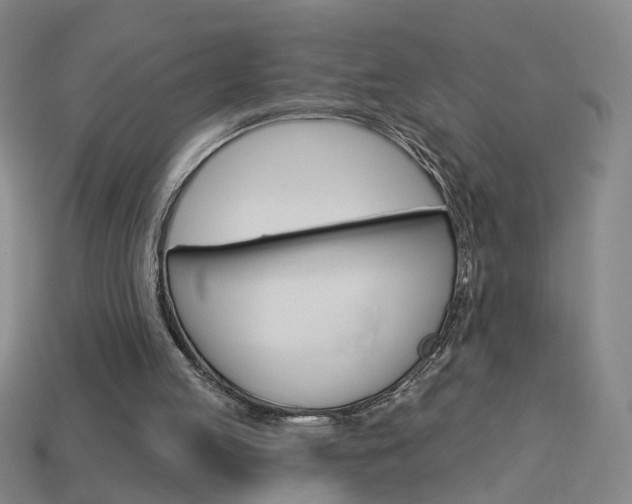 X0000113980053200910020958
