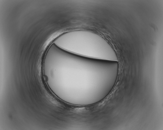 X0000113980054200910020958