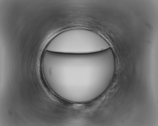 X0000113980055200910020958