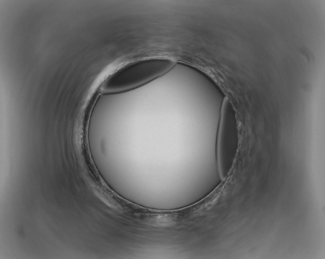 X0000113980056200910020958