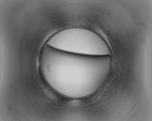 X0000113980059200910020958