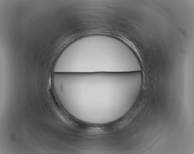 X0000113980061200910020958