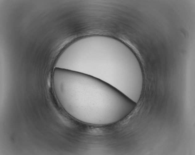 X0000113980062200910020958