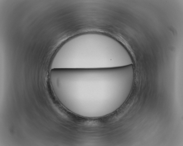 X0000113980063200910020958