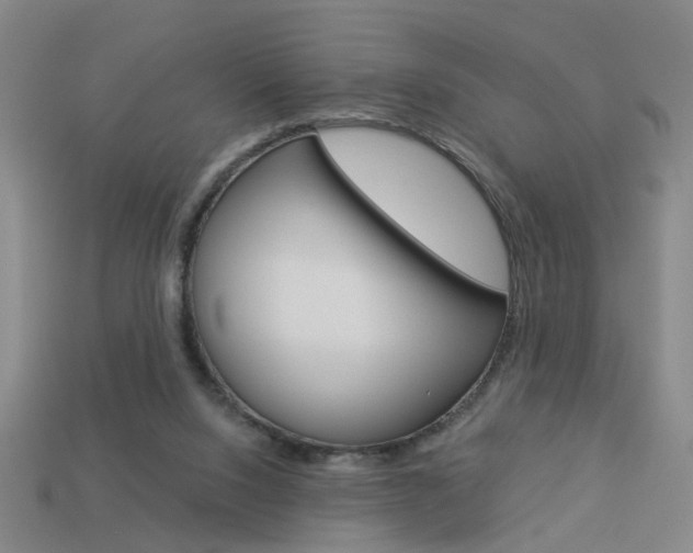 X0000113980064200910020958