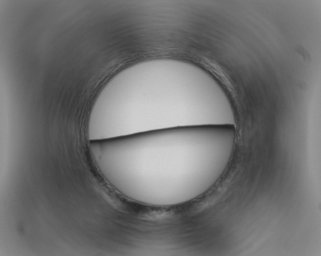 X0000113980065200910020958