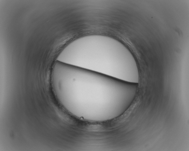 X0000113980066200910020958