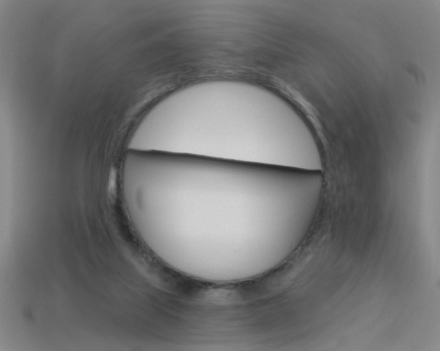 X0000113980067200910020958