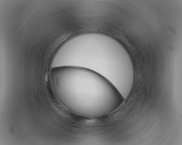 X0000113980068200910020958
