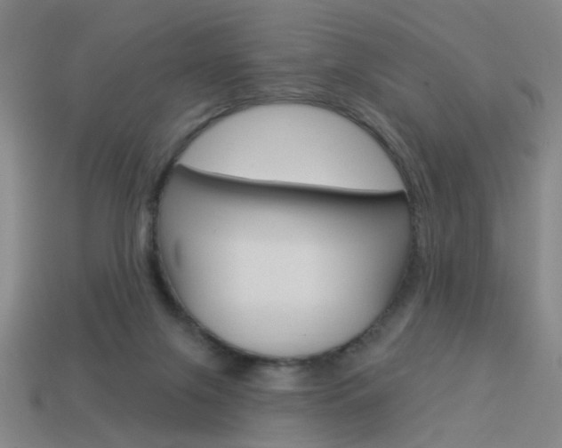X0000113980071200910020958