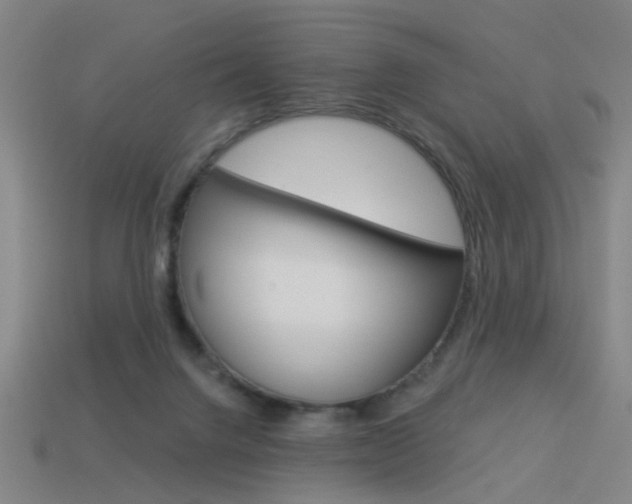 X0000113980072200910020958