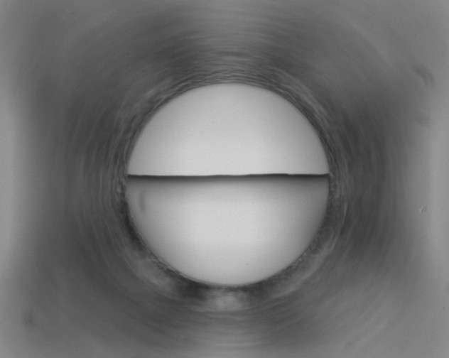 X0000113980073200910020958