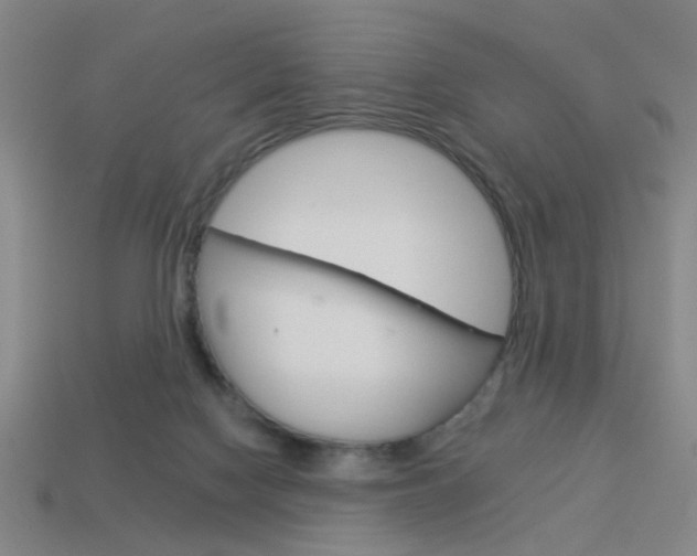 X0000113980074200910020958