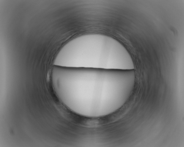 X0000113980075200910020958