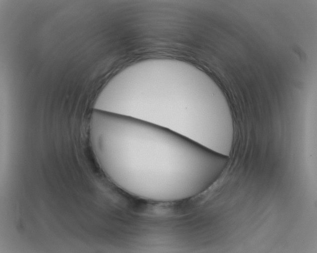 X0000113980078200910020958