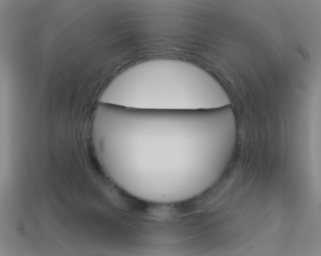 X0000113980079200910020958