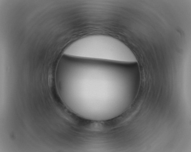 X0000113980080200910020958