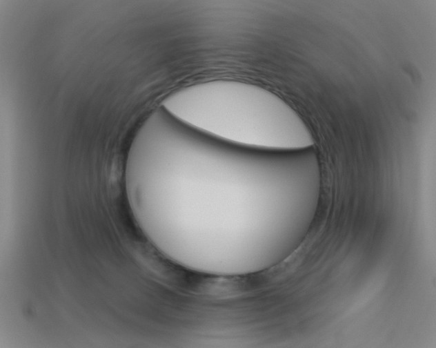 X0000113980082200910020958