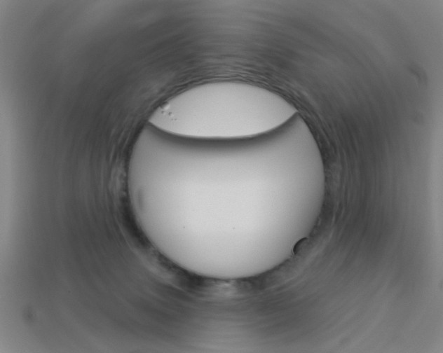 X0000113980083200910020958
