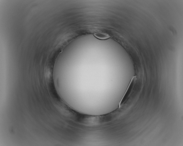 X0000113980084200910020958