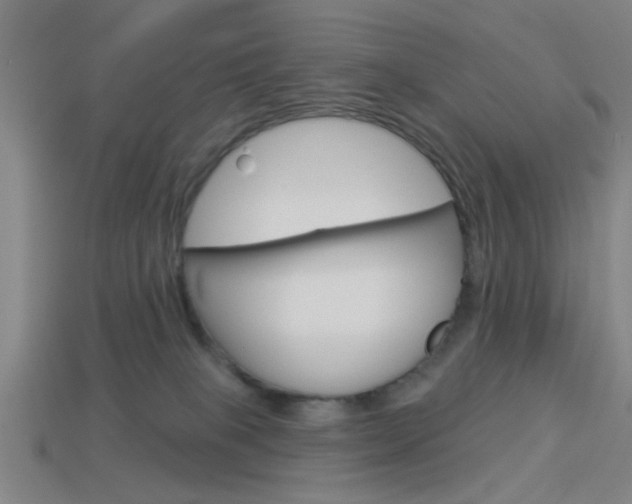 X0000113980085200910020958