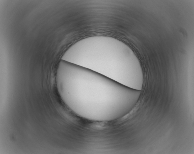 X0000113980086200910020958