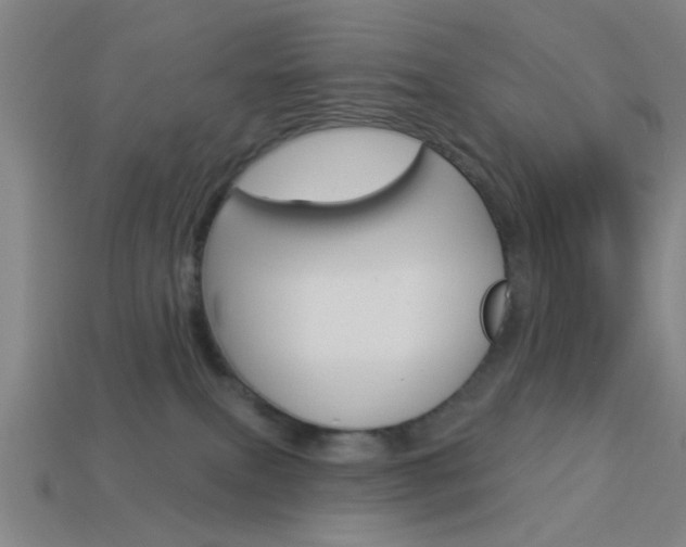X0000113980087200910020958