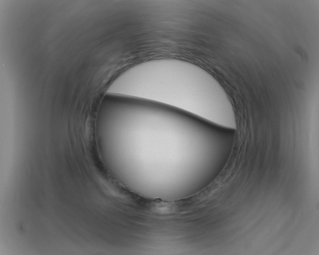 X0000113980088200910020958