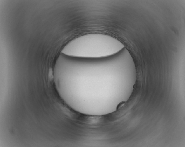 X0000113980089200910020958