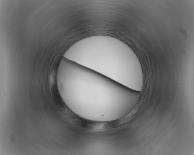 X0000113980090200910020958