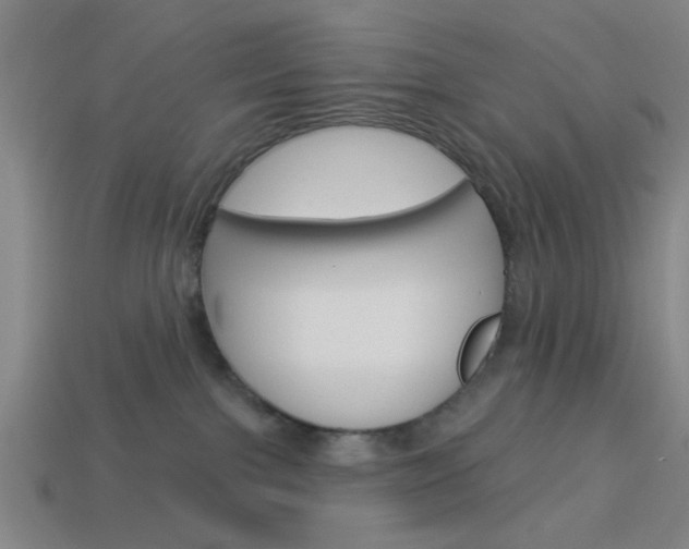 X0000113980091200910020958