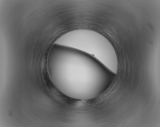 X0000113980092200910020958