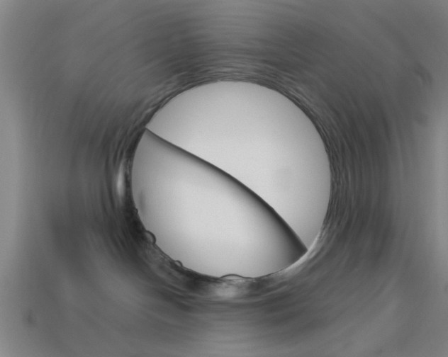 X0000113980094200910020958