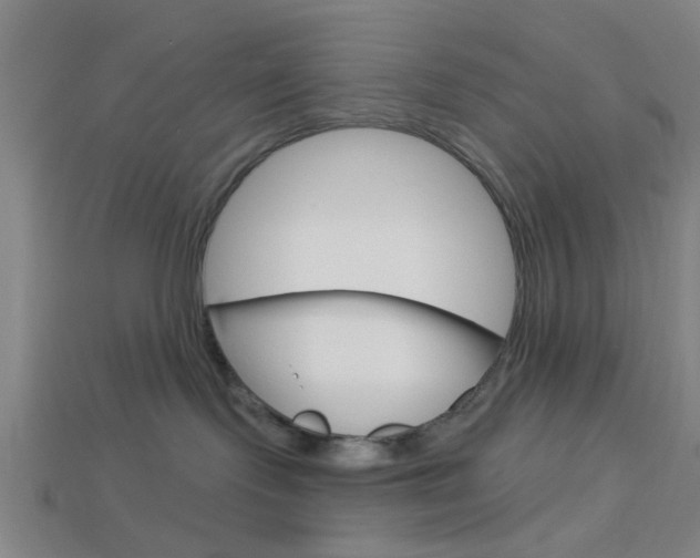 X0000113980095200910020958