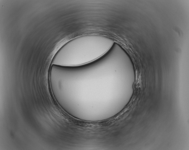X0000113980099200910020957