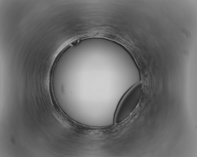 X0000113980100200910020957