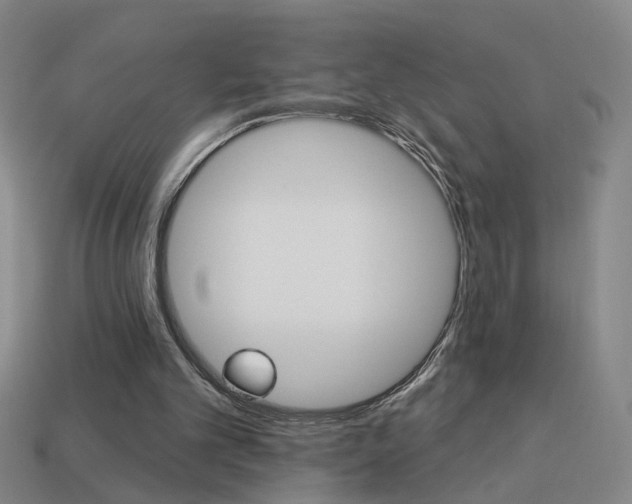 X0000113980101200910020957