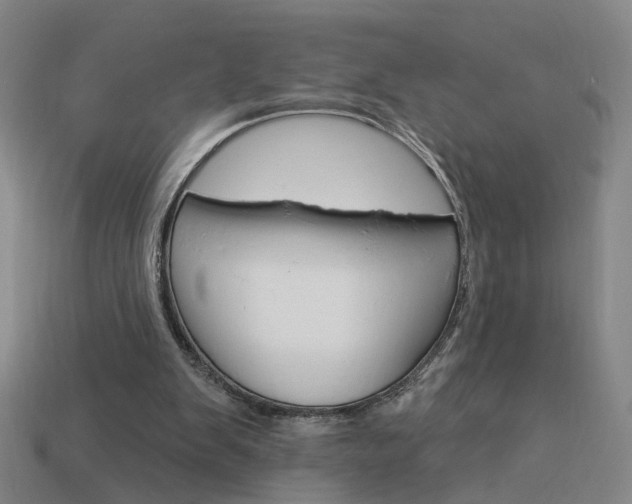 X0000113980103200910020957